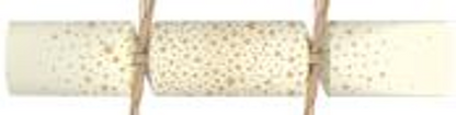Luxury Cream & Gold Starburst Crackers 50 x 11inch