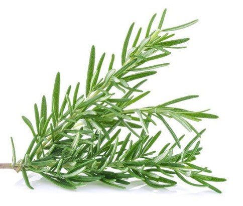 Fresh Rosemary 100gm - TO ORDER ONLY