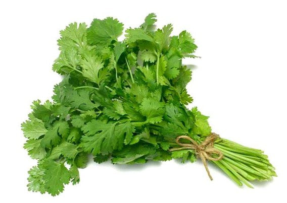 Fresh Coriander 100gm - TO ORDER ONLY