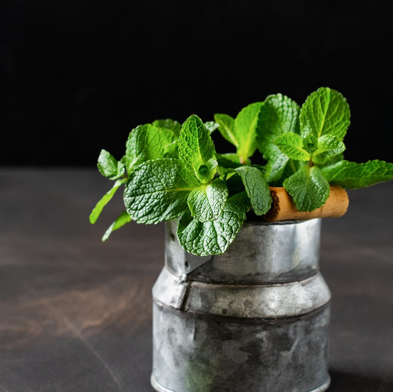 Fresh Mint 100gm - TO ORDER ONLY