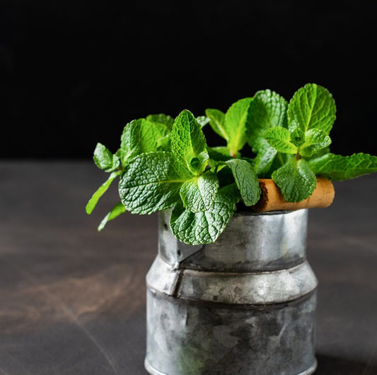 Fresh Mint 100gm - TO ORDER ONLY