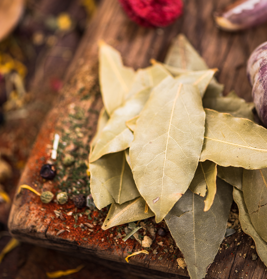 Fresh Bay Leaves 100gm - TO ORDER ONLY