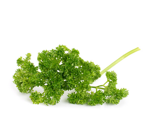 Fresh Curly Parsley 100gm - TO ORDER ONLY