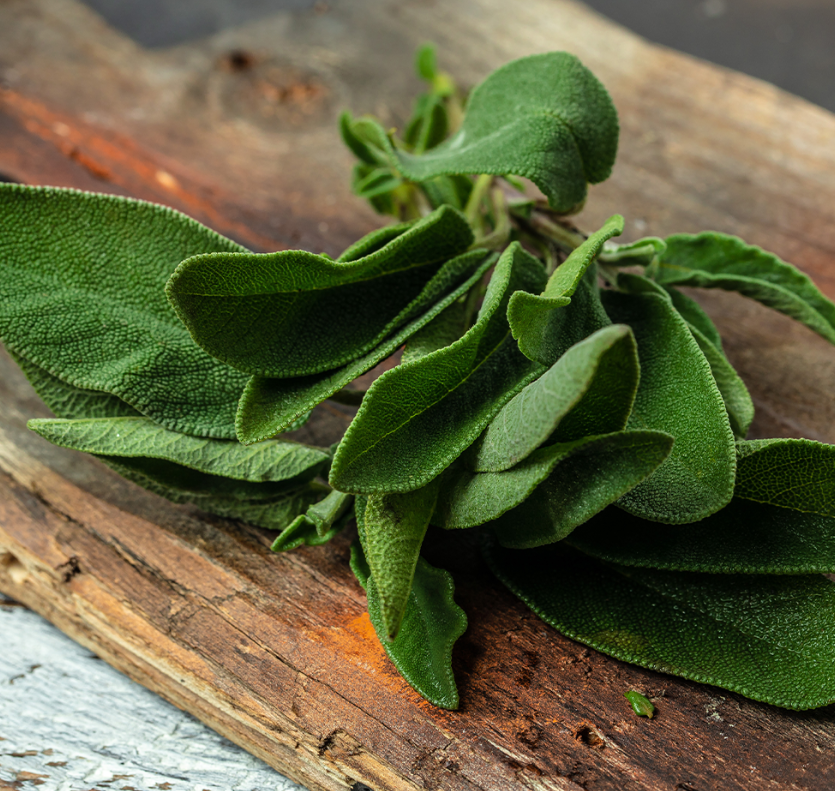 Fresh Sage 100gm - TO ORDER ONLY