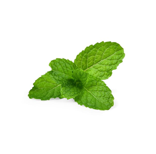 Fresh Micro Mint 30gm - TO ORDER ONLY