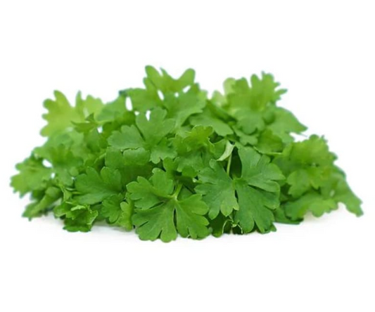 Fresh Micro Parsley 30gm - TO ORDER ONLY