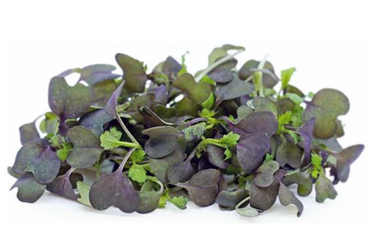 Fresh Micro Red Mustard 30gm - TO ORDER ONLY