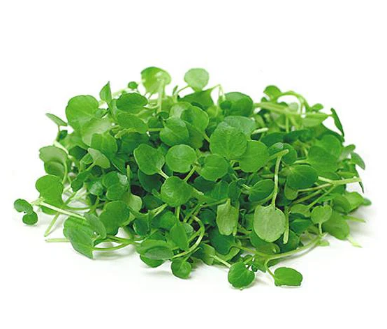 Fresh Micro Watercress 30gm - TO ORDER ONLY