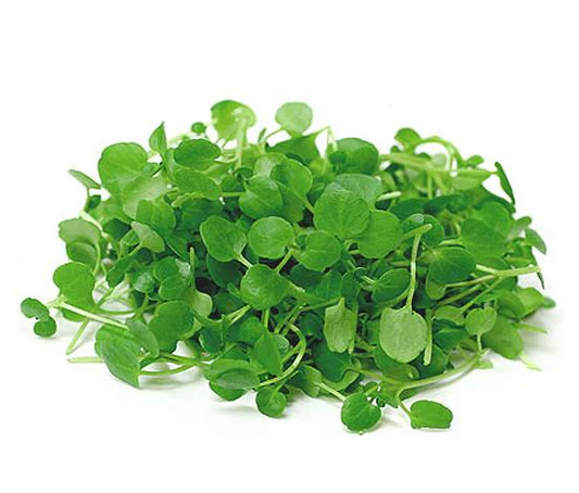 Fresh Micro Watercress 30gm - TO ORDER ONLY