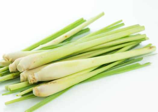 Fresh Lemon Grass 1 x Bunch - TO ORDER ONLY