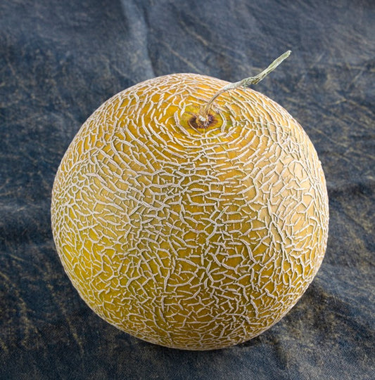 Fresh Galia Melon 1 x Each - TO ORDER ONLY