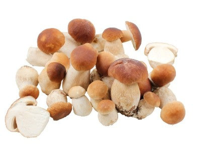 Frozen Whole Ceps 1kg