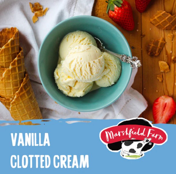 Marshfield Vanilla Clotted Cream Ice Cream 4.5ltr