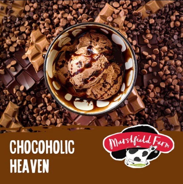 Marshfield Chocoholic Heaven Ice Cream 4.5ltr