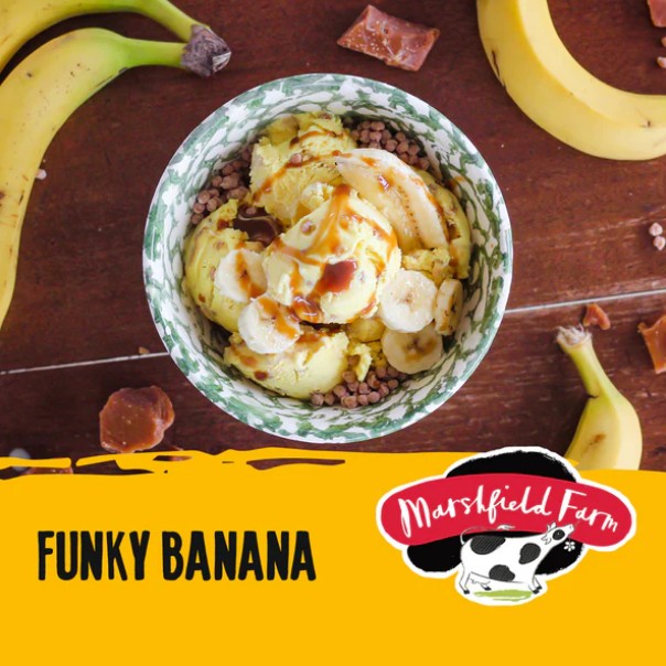Marshfield Funky Banana Ice Cream 4.5ltr
