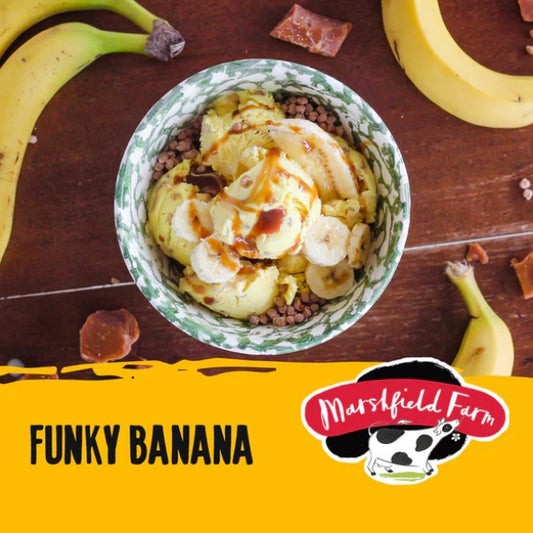 Marshfield Funky Banana Ice Cream 4.5ltr