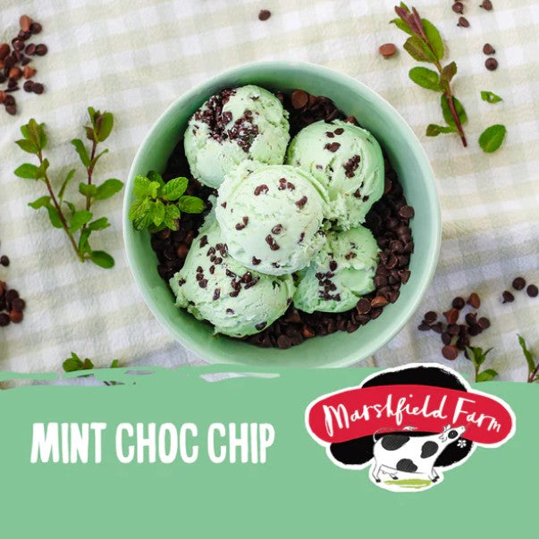 Marshfield Mint Choc Chip Ice Cream 4.5ltr