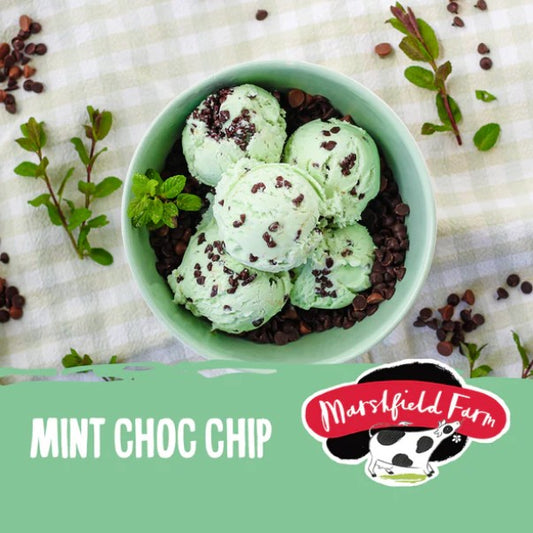 Marshfield Mint Choc Chip Ice Cream 4.5ltr