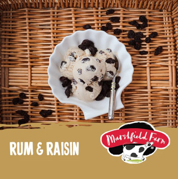 Marshfield Rum & Raisin Ice Cream 4.5ltr