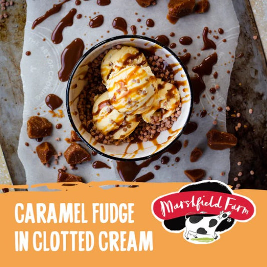 Marshfield Caramel Fudge in Clotted Cream Ice Cream 4.5ltr