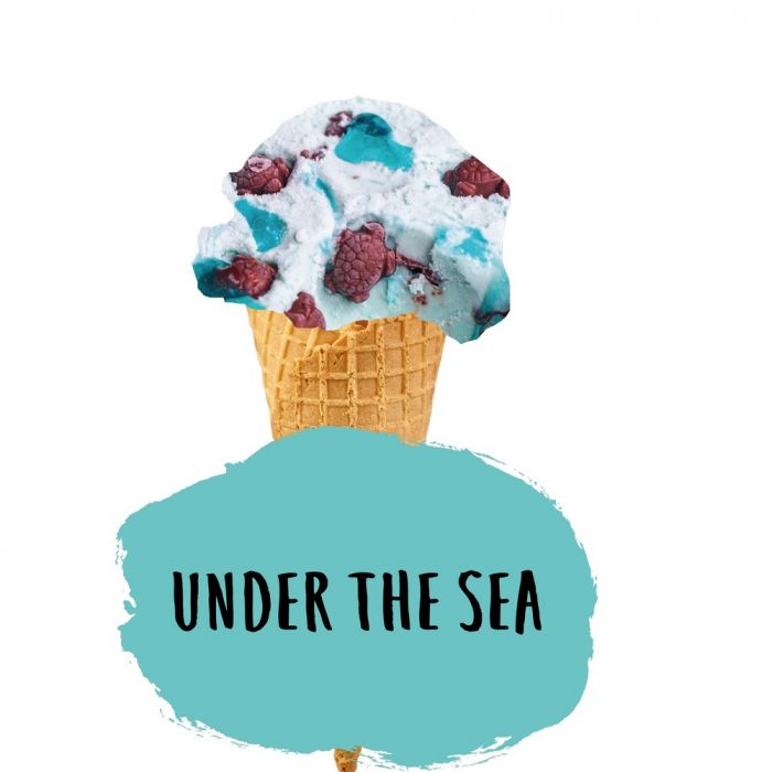 Marshfield Under The Sea Ice Cream 4.5ltr