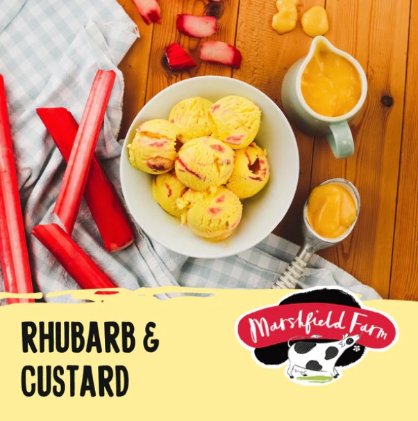 Marshfield Rhubarb & Custard Ice Cream 4.5ltr