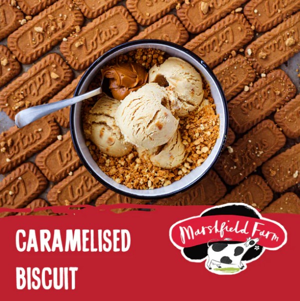 Marshfield Caramelised Biscuit Ice Cream 4.5ltr