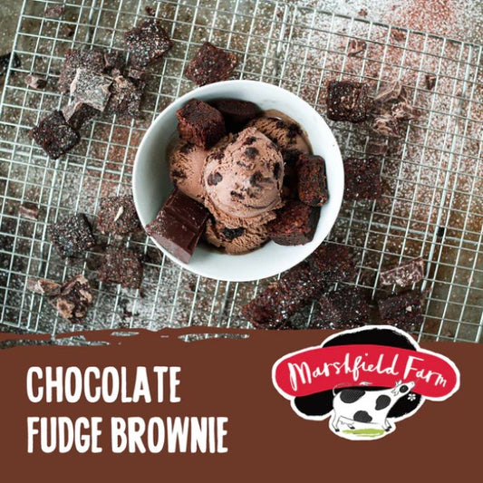 Marshfield Chocolate Fudge Brownie Ice Cream 4.5ltr