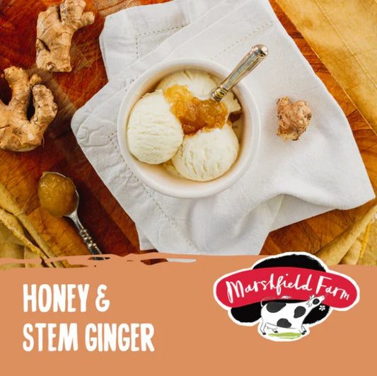 Marshfield Honey & Stem Ginger Ice Cream 4.5ltr