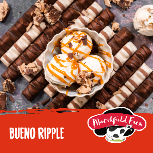 Marshfield Bueno Ripple Ice Cream 5ltr