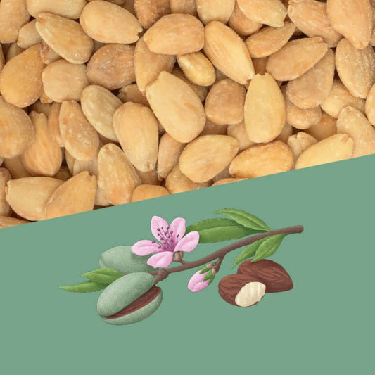 Perello Salted Catalan Almonds 1kg