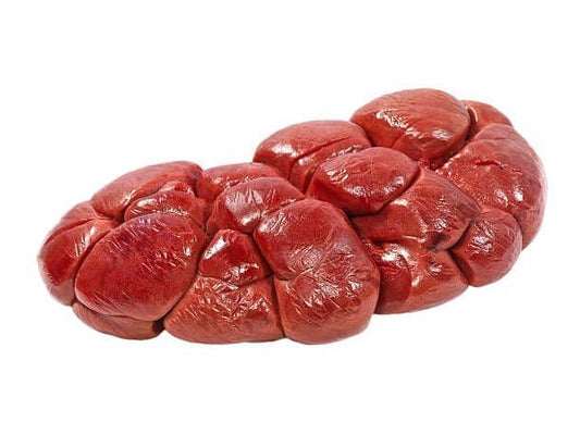 Ox Kidney