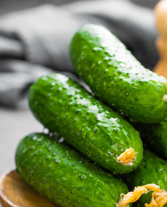 Fresh Cucumber 1 x Each - TO ORDER ONLY