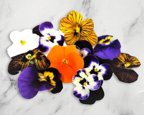 Fresh Edible Viola Flowers 5gm - TO ORDER ONLY