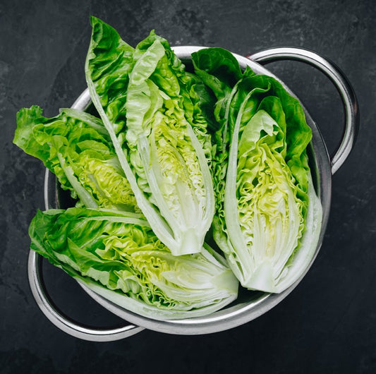 Little Gem Lettuce (2 Pack) - TO ORDER ONLY