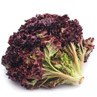 Fresh Lollo Rosso 1 x Each - TO ORDER ONLY