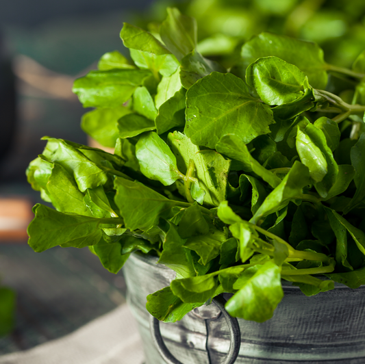 Fresh Watercress 500gm - TO ORDER ONLY