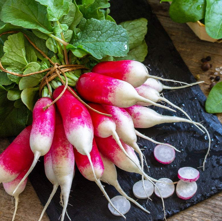 Fresh Breakfast Radish Bunch 1 x Each - TO ORDER ONLY