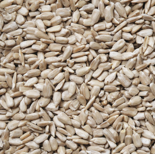 Queenswood Sunflower Seeds 1kg