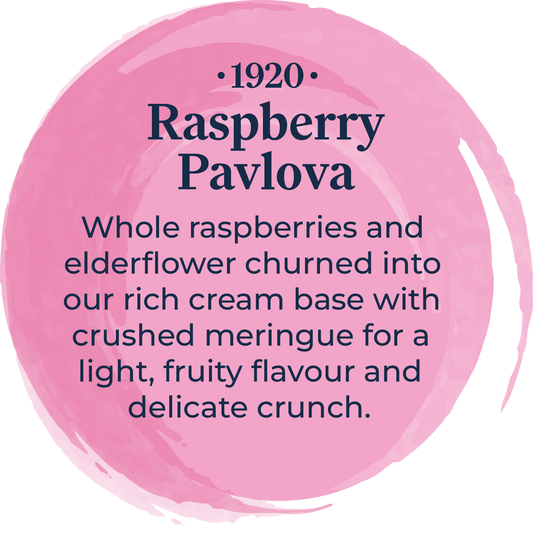 Sussex Ice Cream 1920 Raspberry Pavolova 5ltr