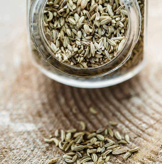 Queenswood Fennel Seeds 200gm