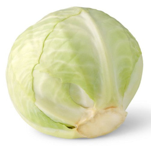Fresh White Cabbage Approx. 2kg - TO ORDER ONLY
