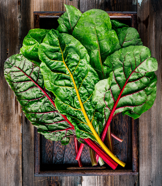 Fresh Mixed Rainbow Chard 1kg - TO ORDER ONLY