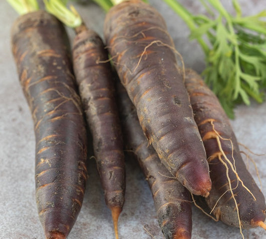 Fresh Carrots Purple 1kg - TO ORDER ONLY