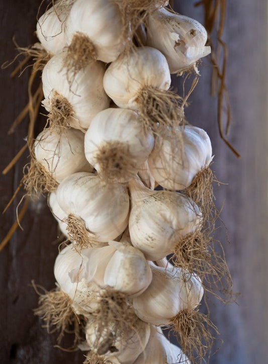 Fresh Garlic String 1 x Each - TO ORDER ONLY