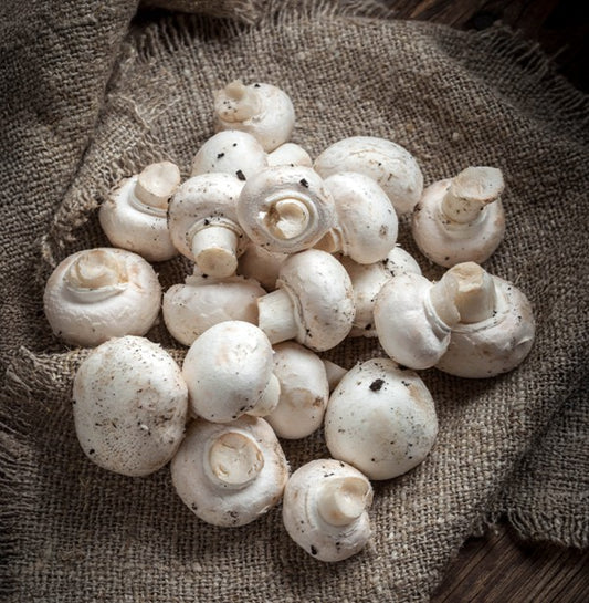 Fresh Button Mushrooms 2.27kg - TO ORDER ONLY