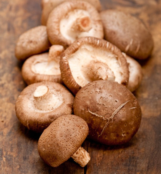 Fresh Shitake Mushrooms 1.5kg - TO ORDER ONLY