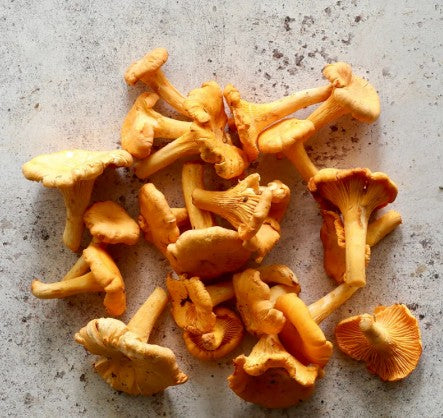 Fresh Girolles Mushrooms 1kg - TO ORDER ONLY