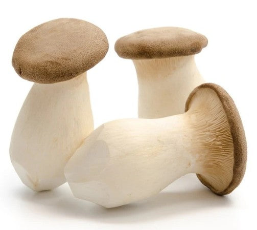 Fresh King Oyster Mushrooms 2kg - TO ORDER ONLY