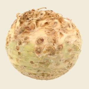 Fresh Celeriac 1 x Each - TO ORDER ONLY
